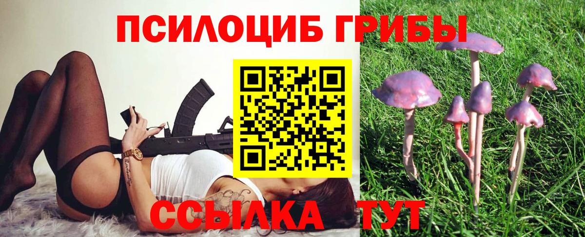 Галлюциногенные грибы мухоморы Тихвин