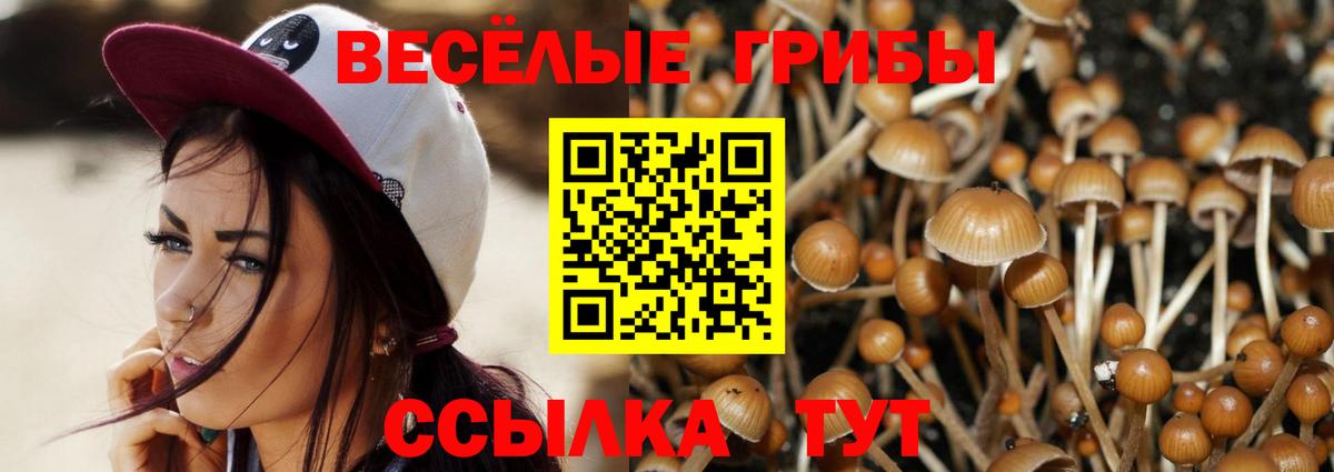 Псилоцибиновые грибы GOLDEN TEACHER  Вход с VPN  Галлюциногенные грибы Psilocybe  Тихвин 